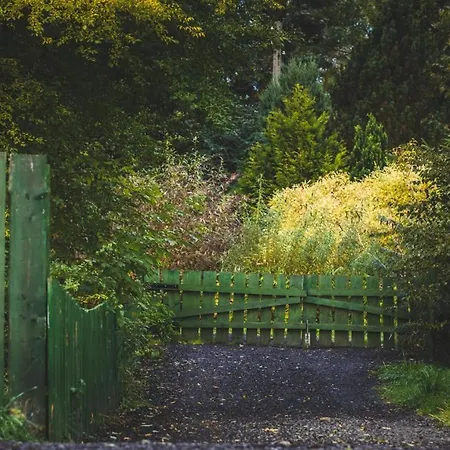 Everysky Janice * Grudza