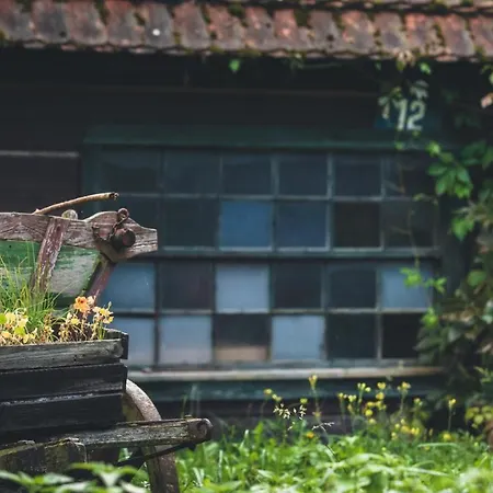 Dom wakacyjny Everysky Janice *