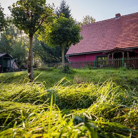 Dom wakacyjny Everysky Janice *