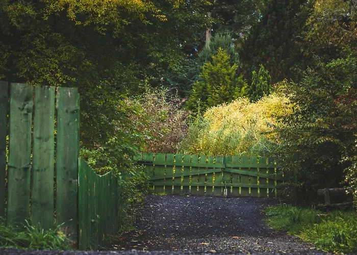 Everysky Janice * Grudza